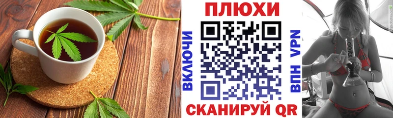 Canna-Cookies марихуана  где купить наркоту  Сальск 