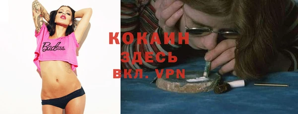 экстази Дмитриев