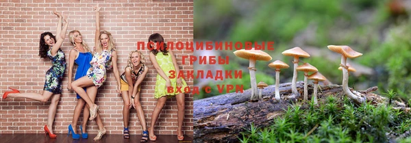 прущие крисы Абинск