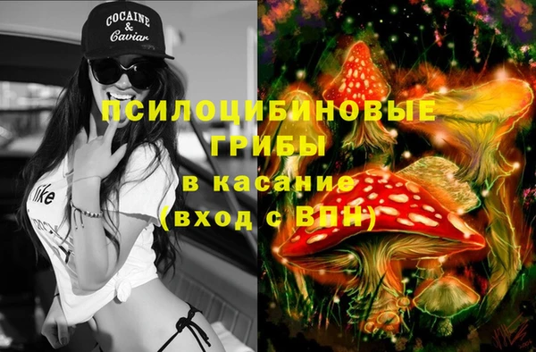 МДПВ Абдулино