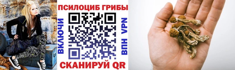 Псилоцибиновые грибы Magic Shrooms  Сальск 