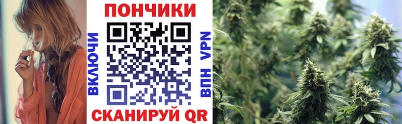где можно купить   Сальск  Шишки марихуана AK-47 